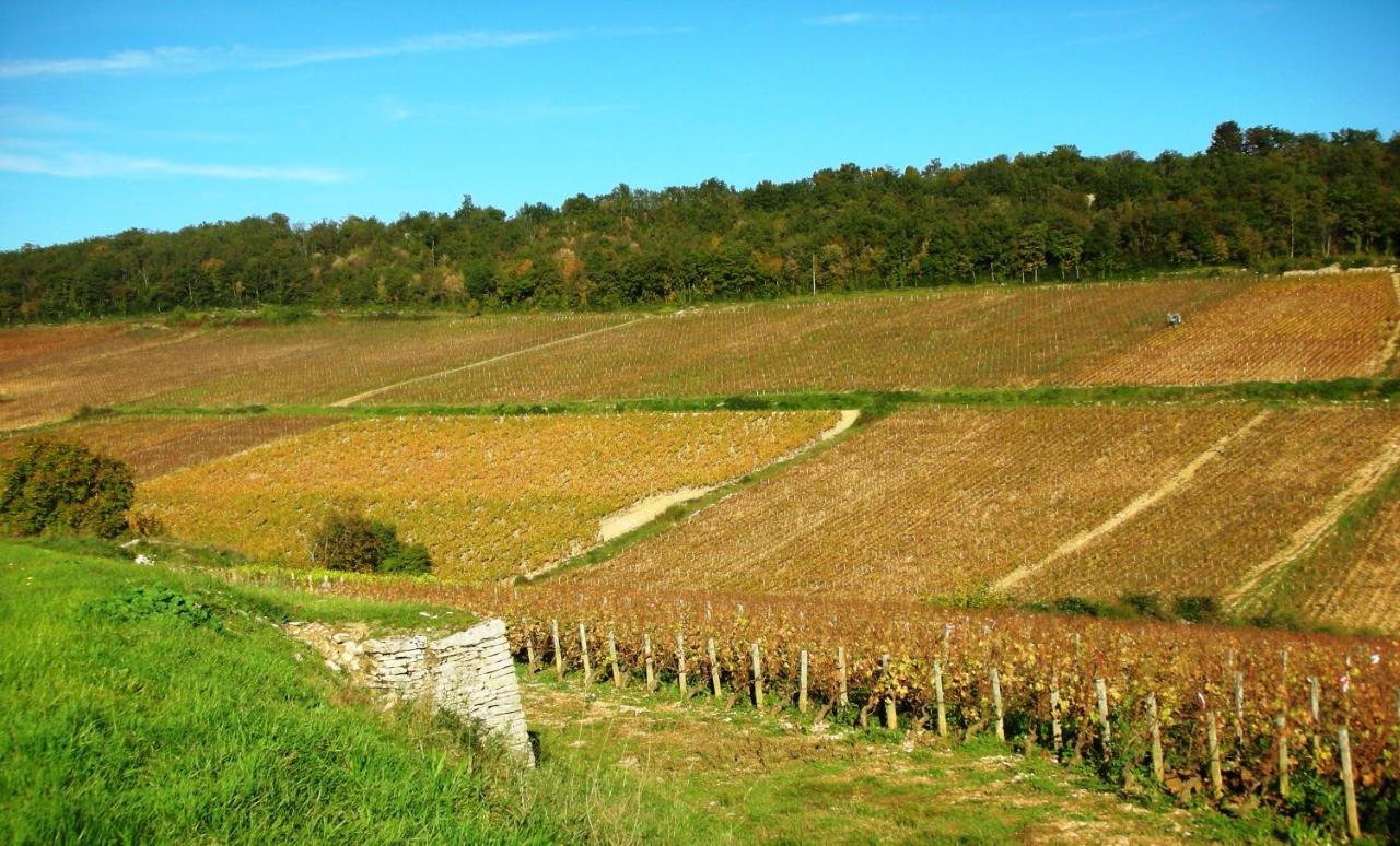 Domaine De La Corgette Bed & Breakfast Saint-Romain  Exterior photo